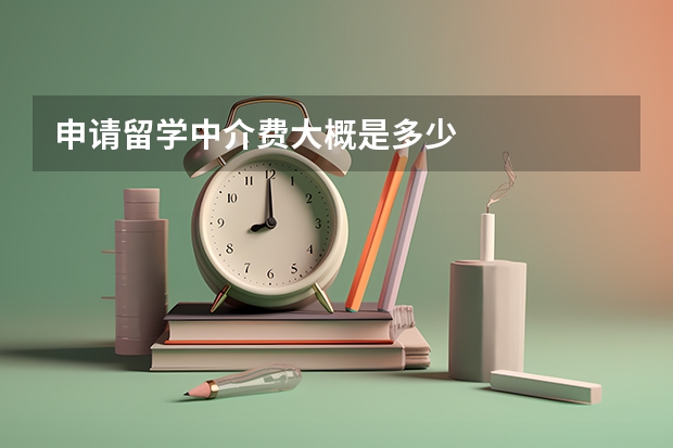 申请留学中介费大概是多少