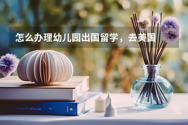 怎么办理幼儿园出国留学，去美国