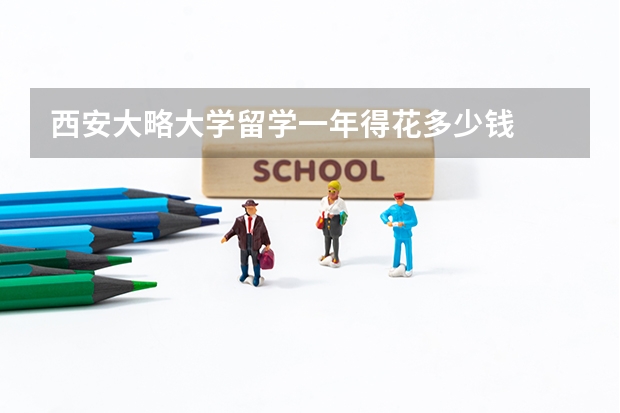 西安大略大学留学一年得花多少钱