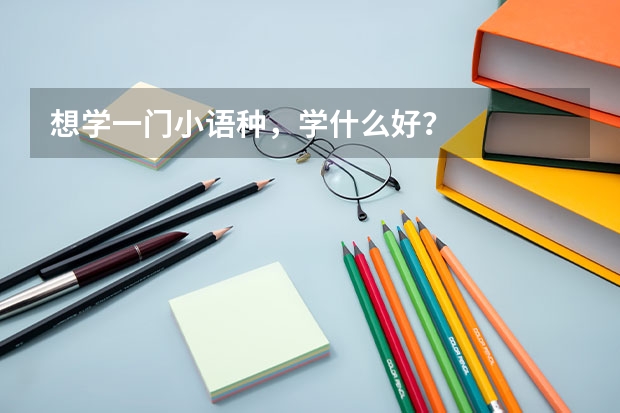 想学一门小语种，学什么好？