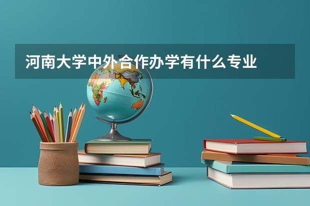 河南大学中外合作办学有什么专业