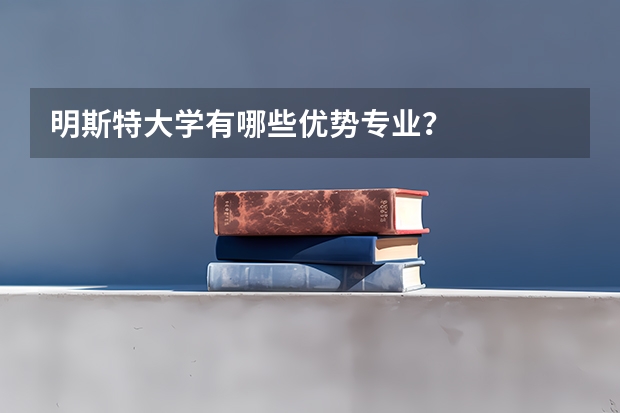 明斯特大学有哪些优势专业？