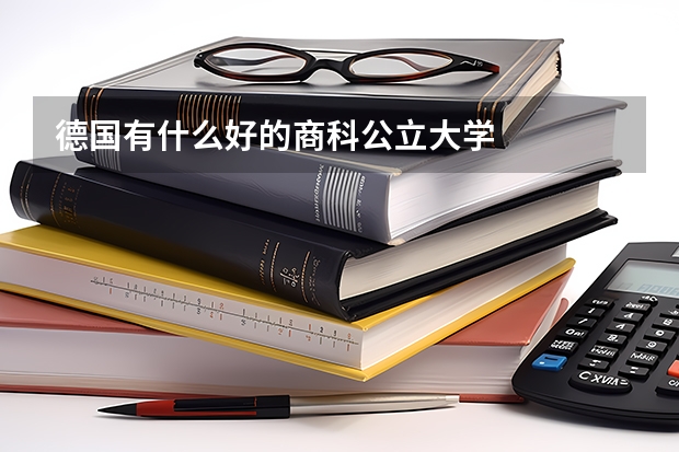 德国有什么好的商科公立大学