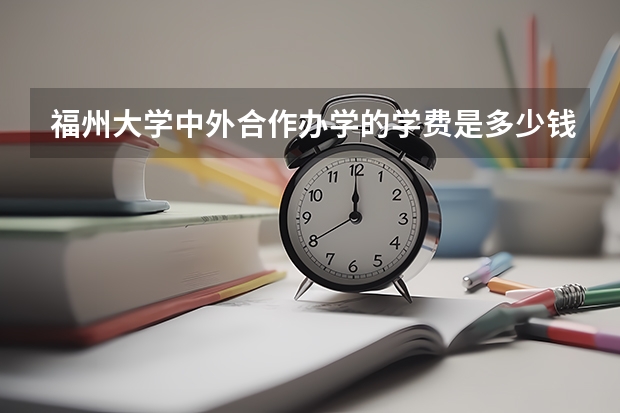 福州大学中外合作办学的学费是多少钱？