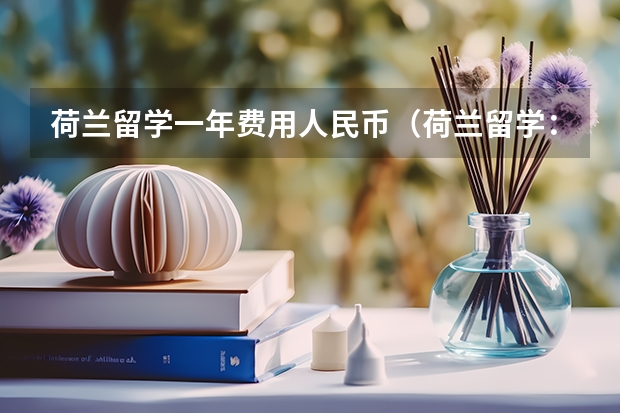 荷兰留学一年费用人民币（荷兰留学：性价比之选）