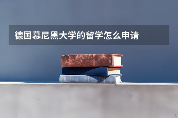 德国慕尼黑大学的留学怎么申请