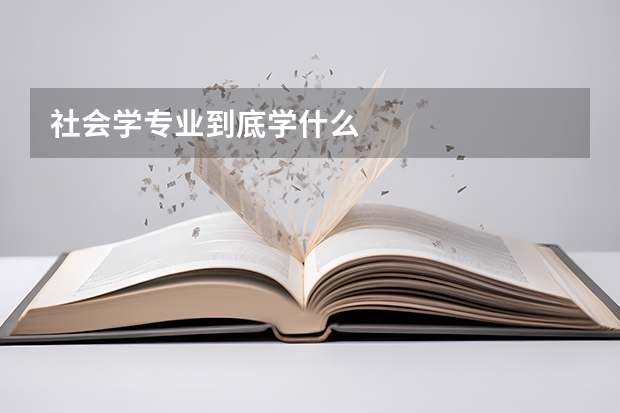 社会学专业到底学什么