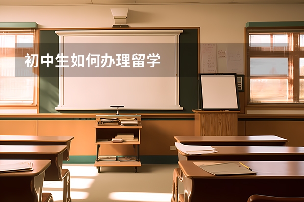 初中生如何办理留学