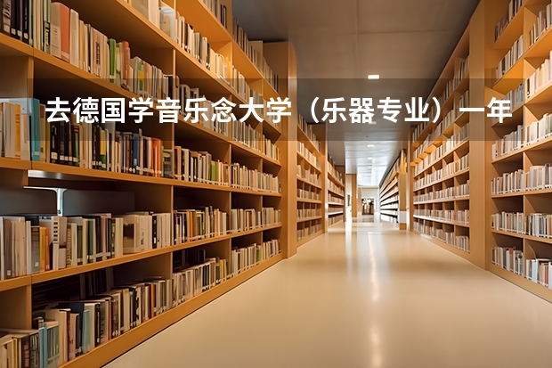 去德国学音乐念大学（乐器专业）一年学费加生活加一块大概费用多少啊 可以申请奖学金吗？