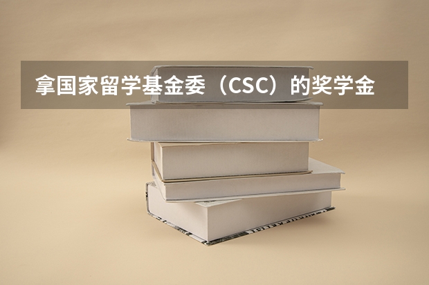 拿国家留学基金委（CSC）的奖学金出国留学是一种什么样的体验？