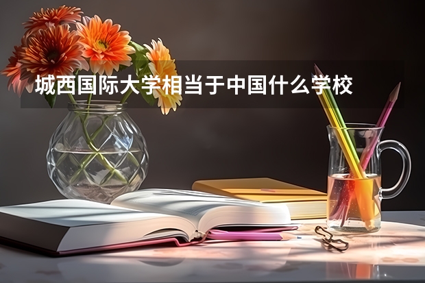 城西国际大学相当于中国什么学校