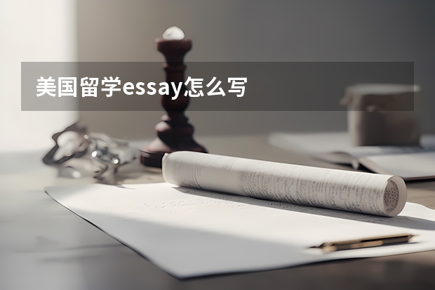 美国留学essay怎么写