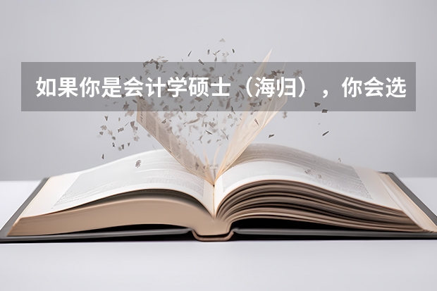 如果你是会计学硕士（海归），你会选择进企业当会计，进银行，进投资公司，还是考事业单位/公务员呢?