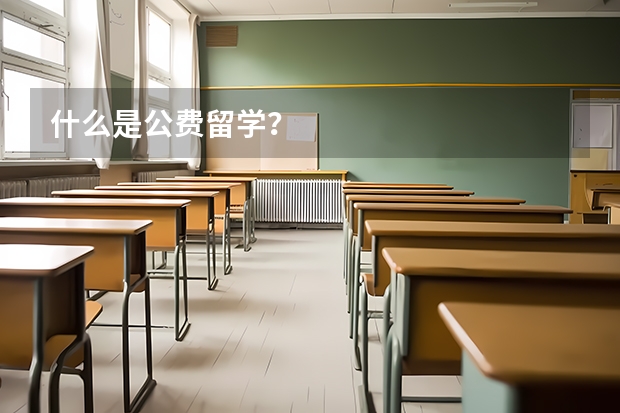 什么是公费留学？