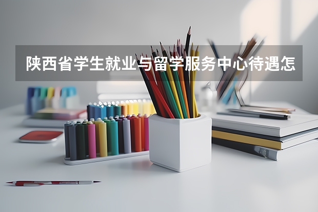 陕西省学生就业与留学服务中心待遇怎么样