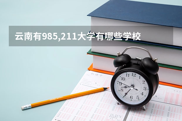 云南有985,211大学有哪些学校