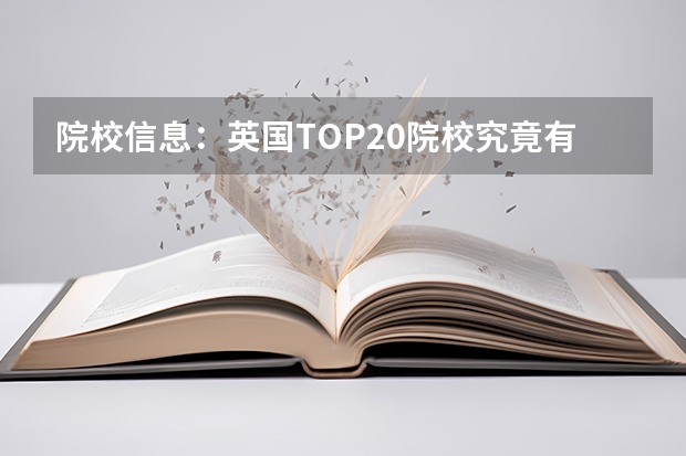 院校信息：英国TOP20院校究竟有哪些糟点？