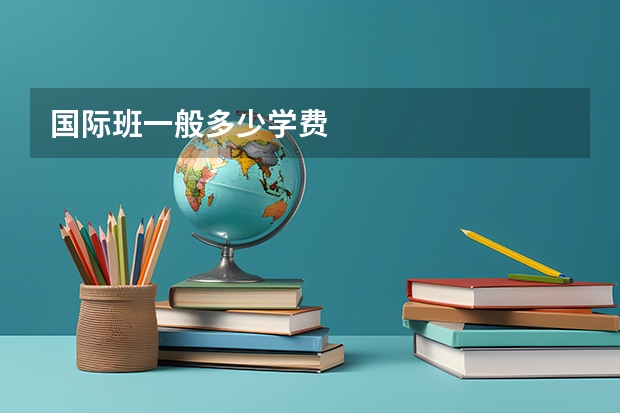 国际班一般多少学费